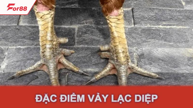 Đặc điểm vảy lạc diệp