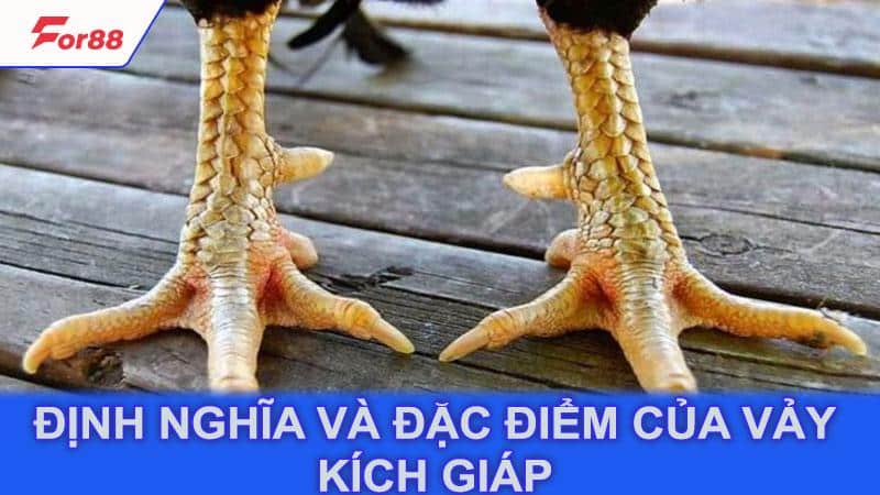 Định nghĩa và đặc điểm của vảy kích giáp