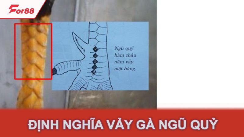 Định nghĩa vảy gà ngũ quỷ