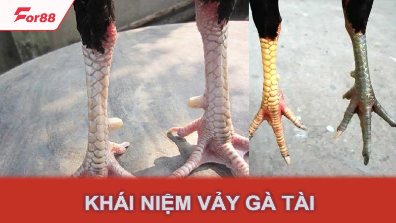 Khái niệm vảy gà tài