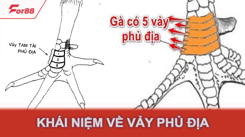 Khái niệm về vảy phủ địa