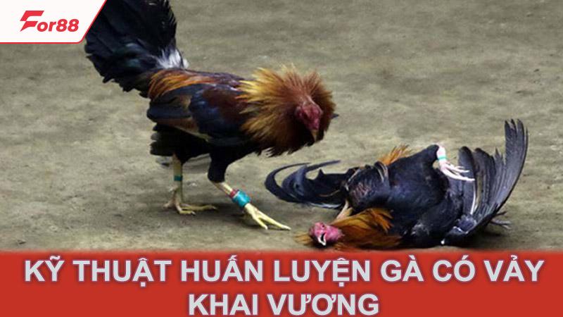 Kỹ thuật huấn luyện gà có vảy khai vương