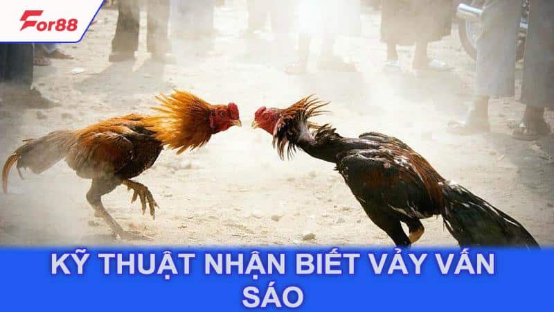 Kỹ thuật nhận biết vảy vấn sáo