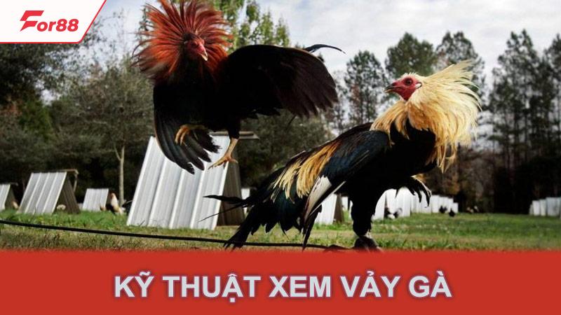 Kỹ thuật xem vảy gà