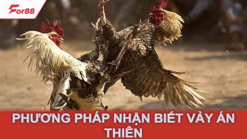 Phương pháp nhận biết vảy án thiên