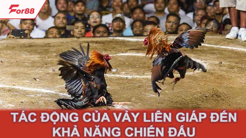 Tác động của vảy liên giáp đến khả năng chiến đấu