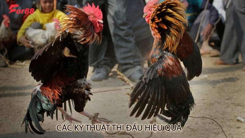 Các kỹ thuật thi đấu hiệu quả