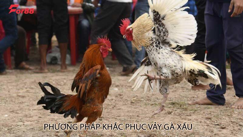 Phương pháp khắc phục vảy gà xấu